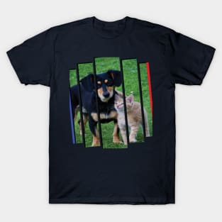 Cat Dog Wow T-Shirt